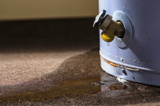 Best Water damage cleanup near me  in Lyndhurst, OH