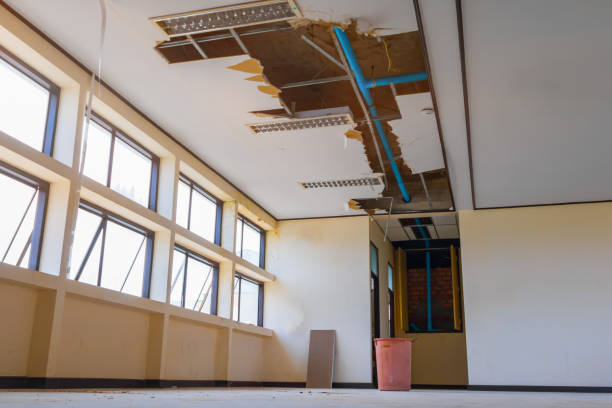 Best Flood restoration services  in Lyndhurst, OH