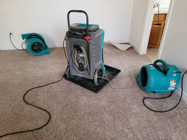 Water damage restoration experts in Lyndhurst, OH