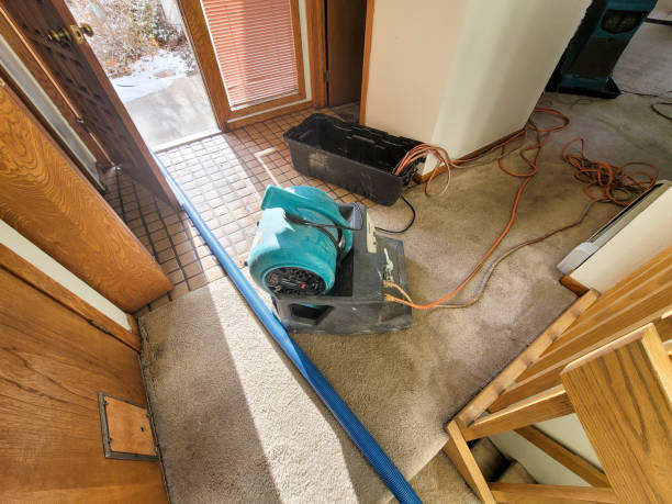 Best Flood damage cleanup  in Lyndhurst, OH