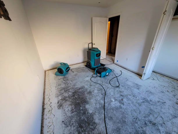 Best Water damage restoration specialists  in Lyndhurst, OH