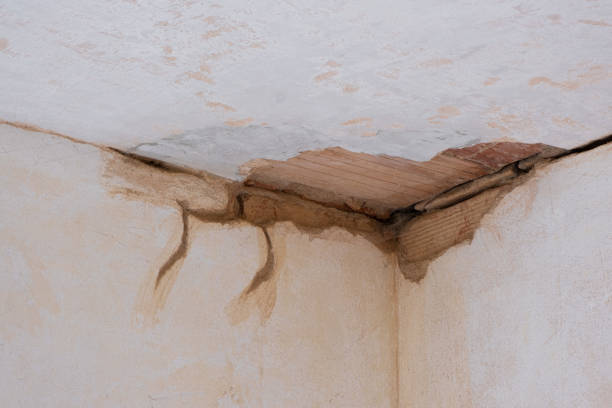 Best Water damage restoration experts  in Lyndhurst, OH