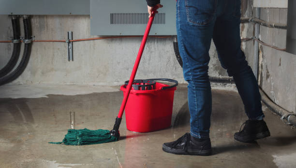 Best Water damage contractors near me  in Lyndhurst, OH