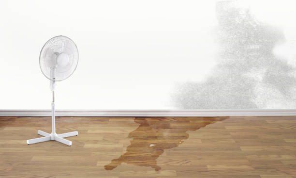 Water damage restoration process in Lyndhurst, OH