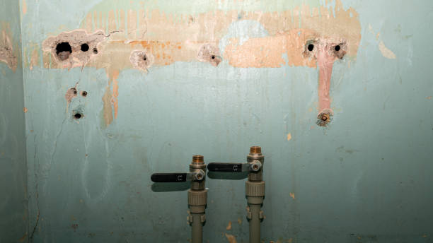 Best Water damage restoration near me  in Lyndhurst, OH