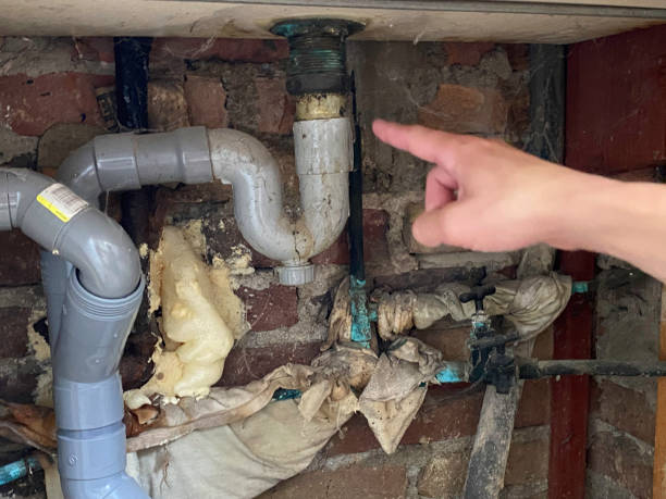 Professional Water damage restoration in Lyndhurst, OH