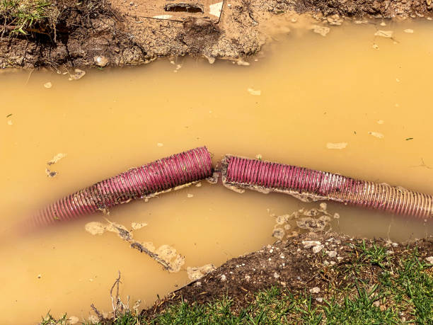 Best Sewage cleanup and water damage restoration  in Lyndhurst, OH
