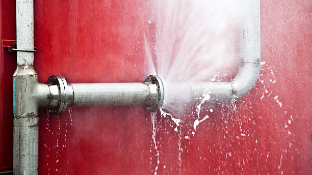  Lyndhurst, OH Water damage restoration Pros